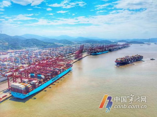 硬核力量晒成绩 宁波舟山港上半年货物吞吐量达6.79亿吨，彰显供应链韧性